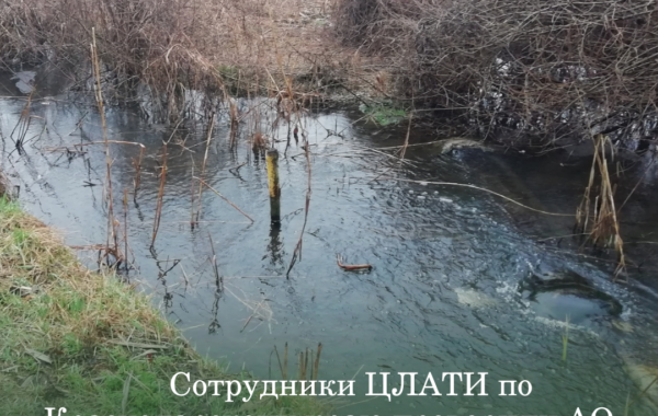 Сотрудники Росприроднадзора проверили АО “Очистные сооружения канализации” в Каневском районе.