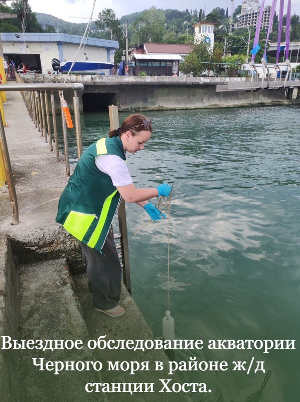 Выездное обследование акватории Черного моря в районе ж/д станции Хоста.