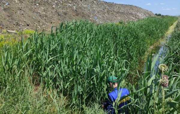Специалисты филиала ЦЛАТИ по Краснодарскому краю подтвердили влияние полигона ТКО на качество воды в оросительных каналах рисовой системы в Красноармейском районе Кубани.